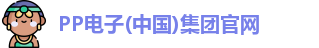 PP电子